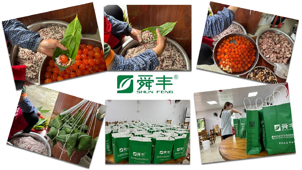 端午粽香浓情献礼，共筑绿色与温情的双重祝福